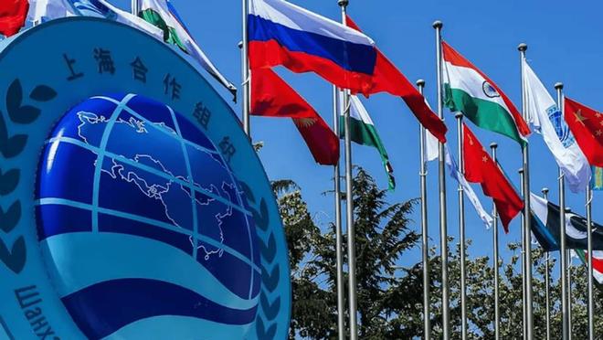 度得到真正的实惠莫迪发文感谢中国OG视讯全员赞成天津宣言通过印(图2)