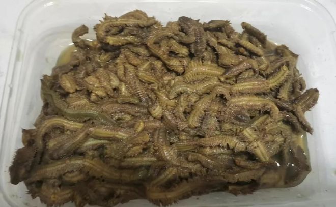 些地方适合带“仇人”去？OG视讯小众赛道：天津哪(图2)